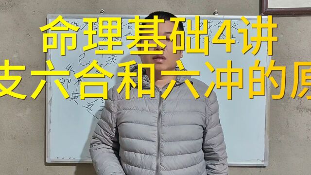 周易基础4讲,地支六合和六冲的原理,作用关系