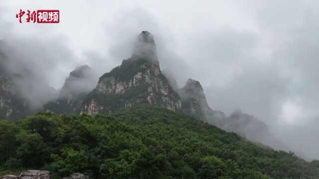 【视觉永济】永济五老峰现壮美云海景观