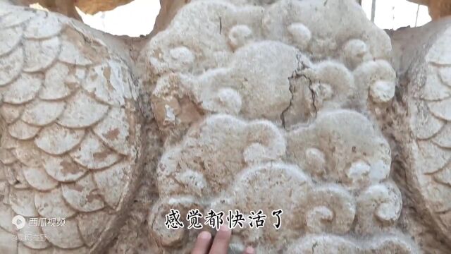 路上偶然发现池塘里有一座600年的双龙古碑,太惊喜!