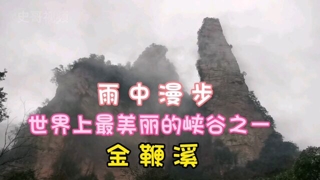 雨中漫步世界上最美丽的峡谷之一,金鞭溪