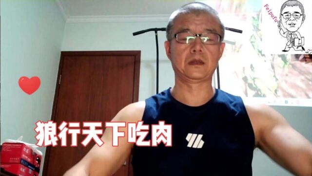 狼行天下吃肉#废话王三丰232集可溶性纤维毯柔性防火罩低生物持久性纤维盘根