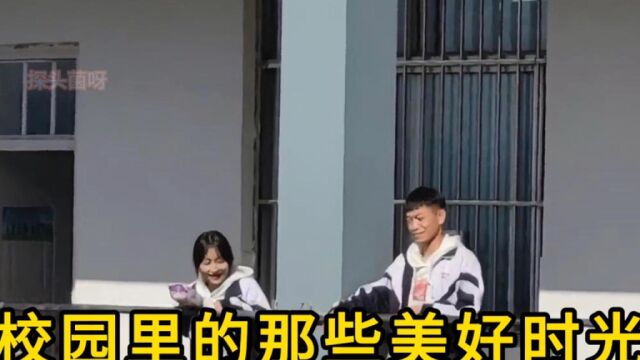 校园里的美好时光