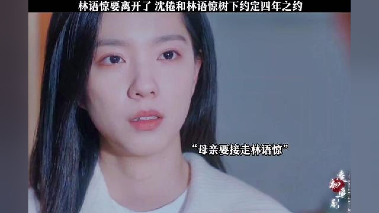 沈倦和林语惊树下约定四年之约！#周翊然#庄达菲#白日梦我_高清1080P在线观看平台_腾讯视频