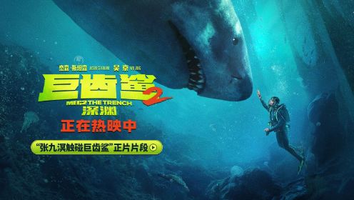 《巨齿鲨2》“张九溟触碰巨齿鲨”正片片段，吴京与巨齿鲨首次触碰，跨物种情感交流太触动
