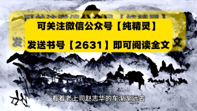 商海巅峰许国华全文阅读(商海巅峰小说)◇已完结无删减