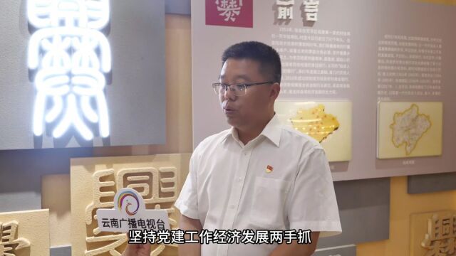 云南陆良农村商业银行积极践行乡村振兴,服务三农见实效