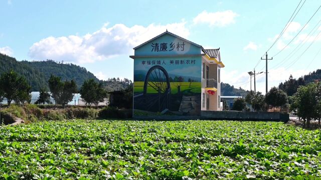 碗米坡镇: 土家源头文旅兴 数智乡村产业旺