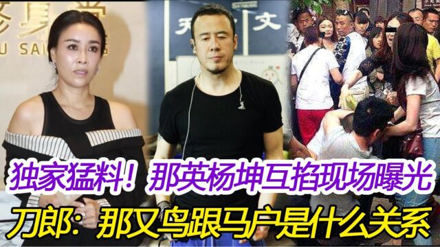 独家猛料!那英杨坤互掐大型现场曝光,那英:杨坤就是罗刹海市马户,杨坤指著那英:你就是那又鸟