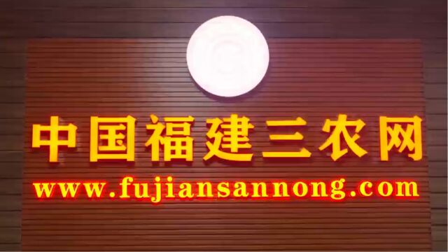 珍惜荣誉再出发 砥砺奋进新征程——中国福建三农网2023年中总结大会在福州召开