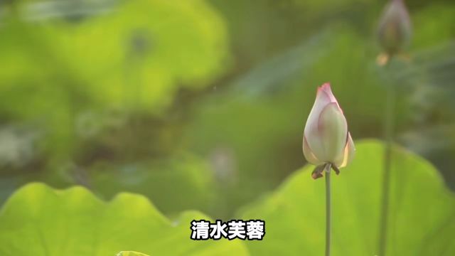 阳明心学