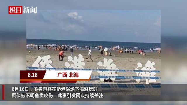 【视频】广西北海游客被不明鱼类咬伤,官方:尚未查明具体情况,仍在事发海域网鱼调查