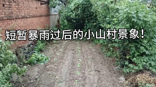 短暂暴雨过后的小山村景象!