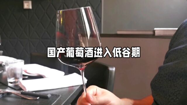 国产葡萄酒进入低谷期