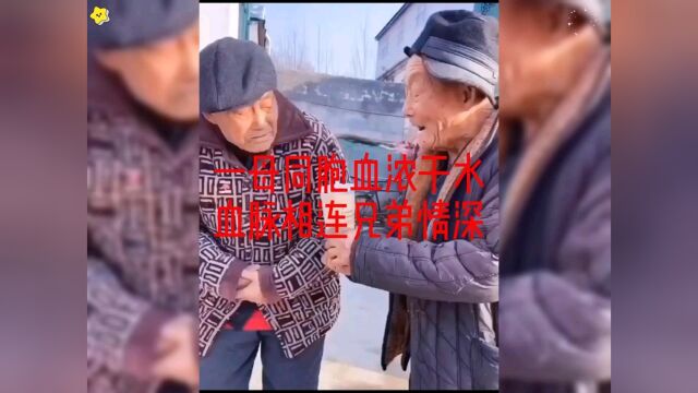 一母同胞血浓于水血脉相连兄弟情深