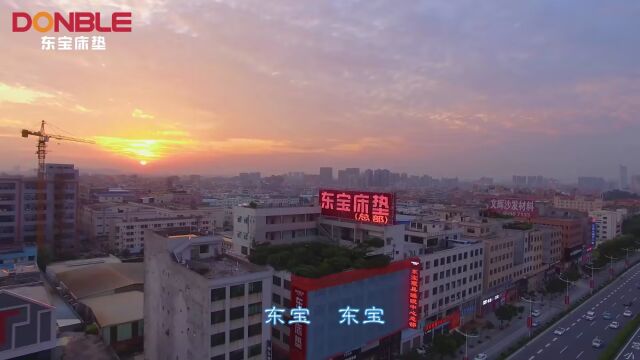 20230819企业歌曲《东宝梦》故事版