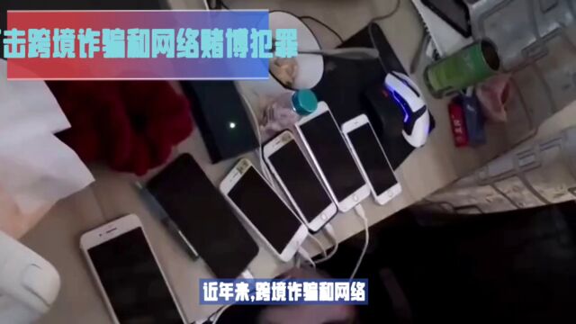 打击跨境诈骗和网络赌博犯罪