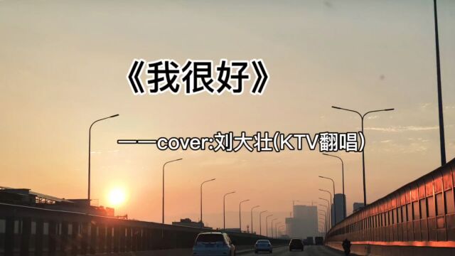 刘大壮《我很好》KTV翻唱版