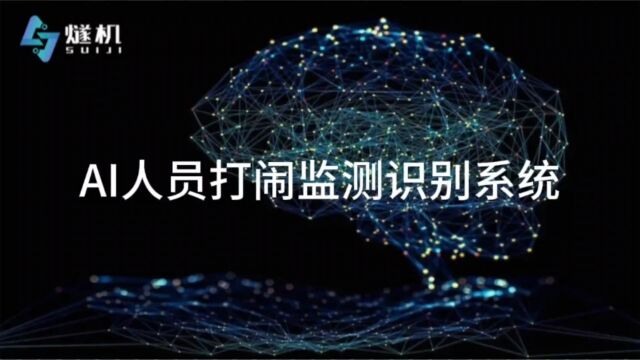 AI人员打闹监测识别系统