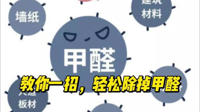 甲醛大户被揪出:这“3物”别再往家中带!都是释放甲醛“源头”