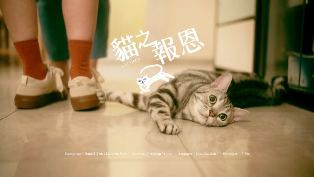 丽英 LaiYing  猫之报恩 MV