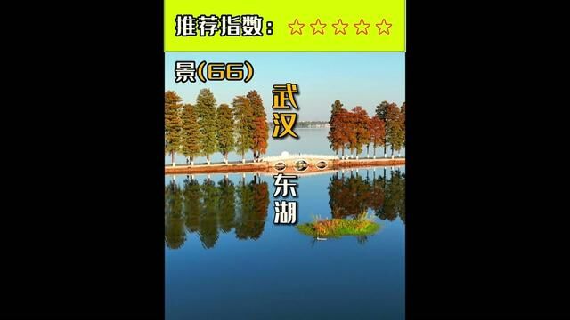 第66集|感受最地道的武汉生活氛围,一定要来听涛景区,临湖漫步是最经典的东湖玩法.