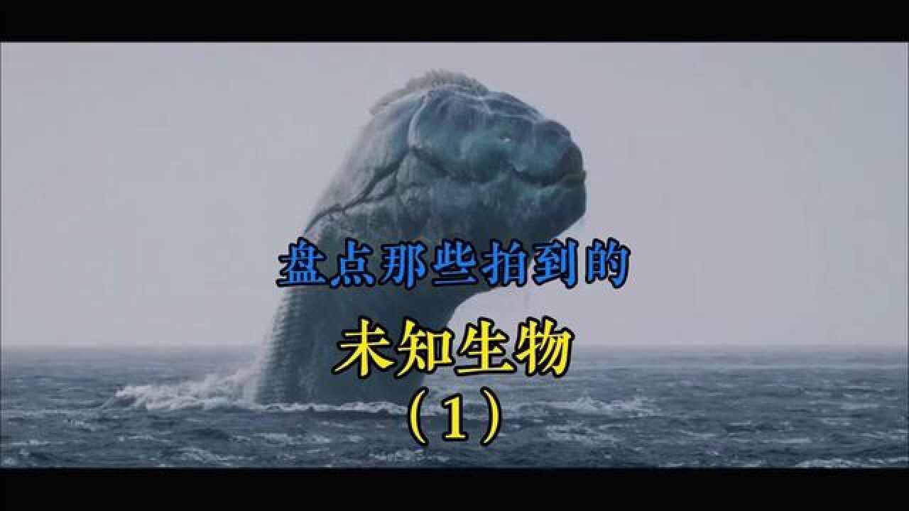 盘点那些无意间拍到的未知生物(1)#神秘事件#未知生物#离奇事件#怪异事件#不明生物_高清1080P在线观看平台_腾讯视频