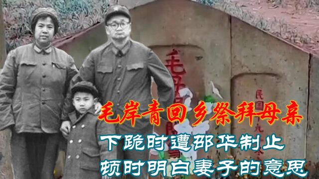 1962年毛岸青回乡祭拜母亲,下跪时遭邵华制止,顿时明白妻子用意