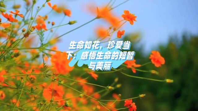 生命如花,珍爱当下:感悟生命的短暂与美丽