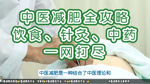 中医减肥全攻略:饮食、针灸、中药,一网打尽!