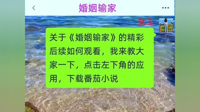 《婚姻输家》全集,点击左下方下载(番茄小说)精彩后续听不停#番茄小说 #小说