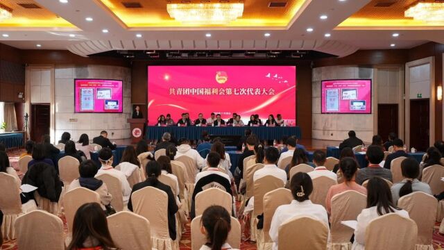 拥抱新时代 成就新梦想 共青团中福会第七次代表大会顺利召开