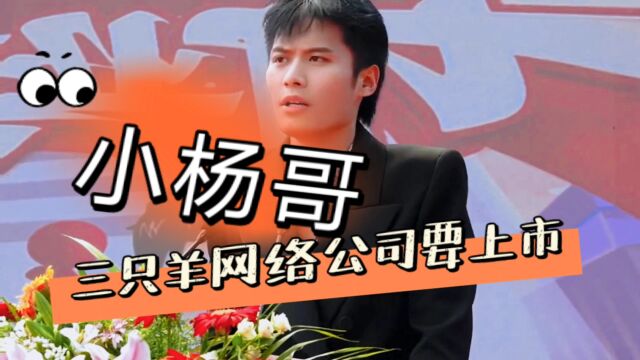 抖音网红小杨哥回应上市传闻,信心满满打造可持续发展企业.三只羊网络CEO回应上市传闻 上市不是目标,但会以上市公司标准来要求自己