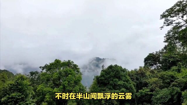 峨眉山的姊妹山,隐藏着什么神秘——四川眉山老峨山