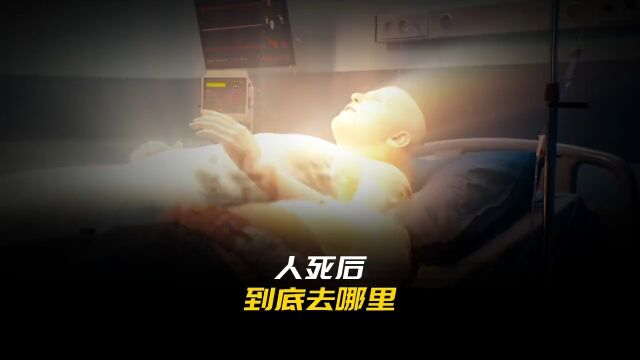 如果没有灵魂,人死后到底会去哪里?了知识科普人类