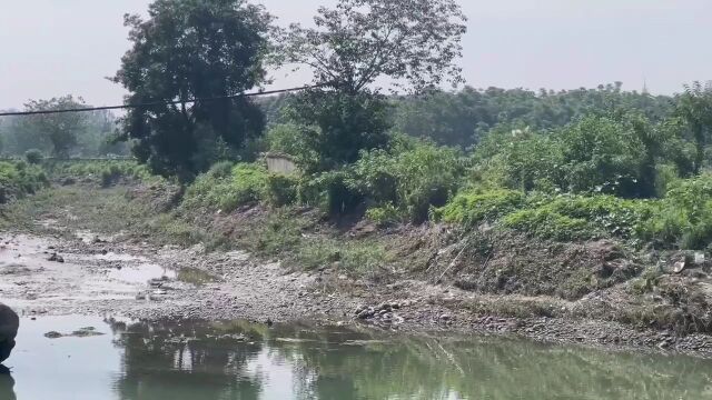 成都温江区江安河河岸被贴瓷砖?施工单位:是花岗石,非瓷砖