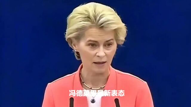 冯德莱恩对欧洲提出严厉批评:弥补投资不足