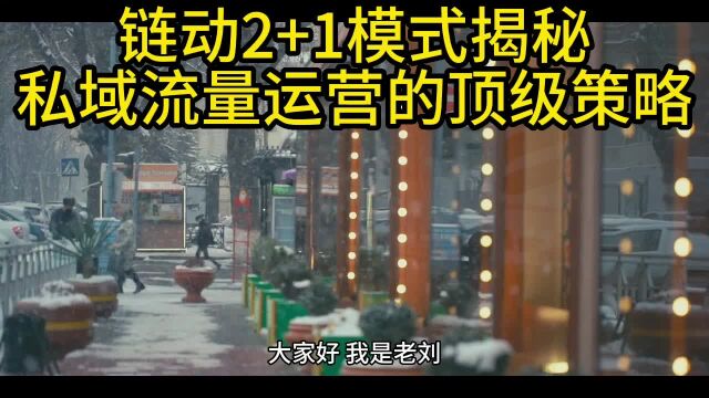 链动2+1模式揭秘:私域流量运营的顶级策略