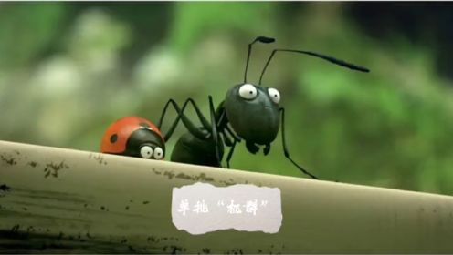 一只 瓢虫 🐞KO蜜蜂机群🐝🐝🐝🐝🐝#昆虫总动员 #经典动画短片推荐 #动物类科普视频 #脑动大开的动画
