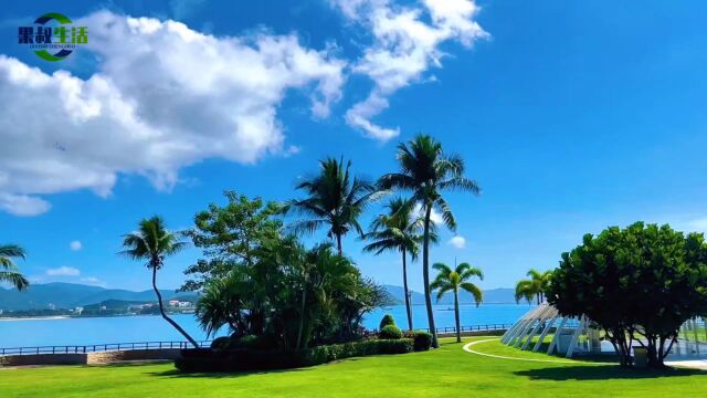 冬日治愈最佳的风景@旅行日记@治愈风景@海岛风景