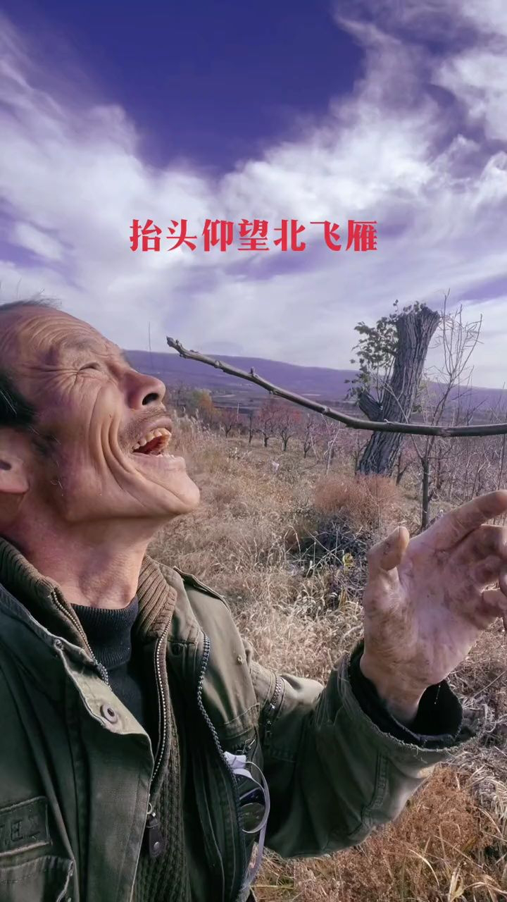 大气,豪放,深情,悠远.