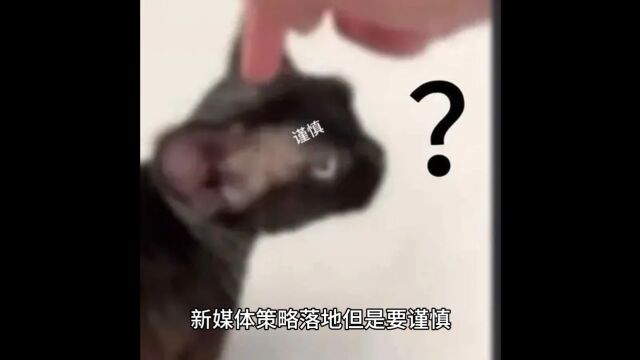 细心应对新媒体营销结合公司发展进行 新媒体赵龙分享