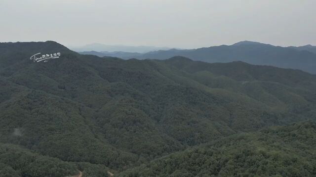 在广东大山深处发现各种各样雕刻的马像人像摆放像是一种阵型当年这里究竟隐藏着什么故事#石像#历史#文物