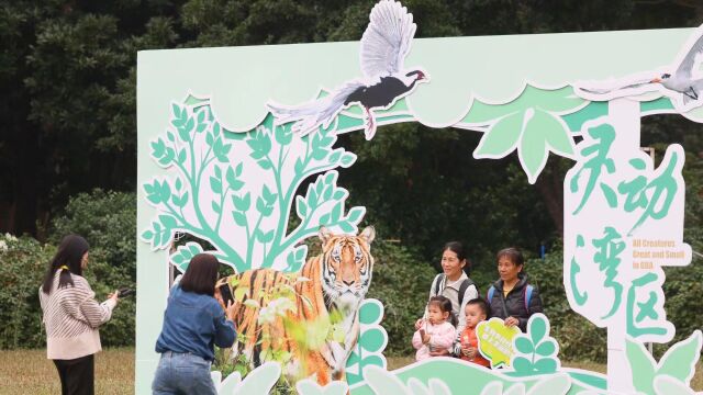 记录“灵动湾区”,粤港澳生物多样性摄影及科普活动启动