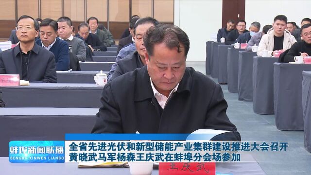 全省先进光伏和新型储能产业集群建设推进大会召开 黄晓武马军杨森王庆武在蚌埠分会场参加