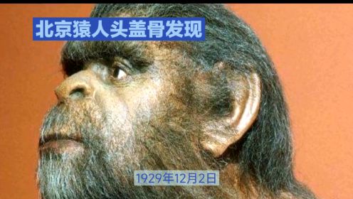 历史上的今天-北京猿人头盖骨发现