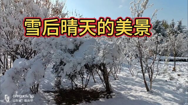 下完雪后的景色也特别漂亮