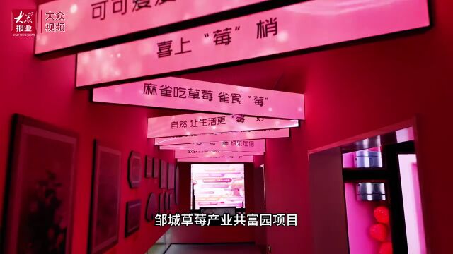 济宁2023下半年重点项目巡礼:邹城市乡村振兴草莓产业示范园建设项目