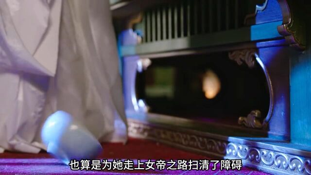 疯批女二刀捅未婚夫,毒死亲祖母,只为替母报仇然后成为女帝灼灼风流王丽坤疯批