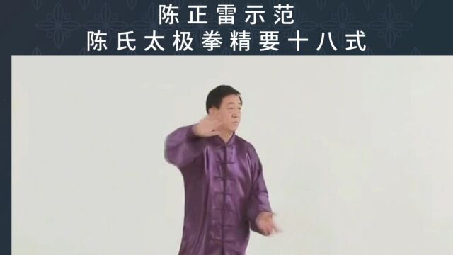 陈正雷太极拳北京总馆陈正雷陈氏太极拳精要十八式示范