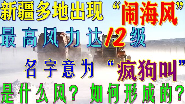 新疆出现“闹海风”,风力12级,这是什么风?为何意为“疯狗叫”